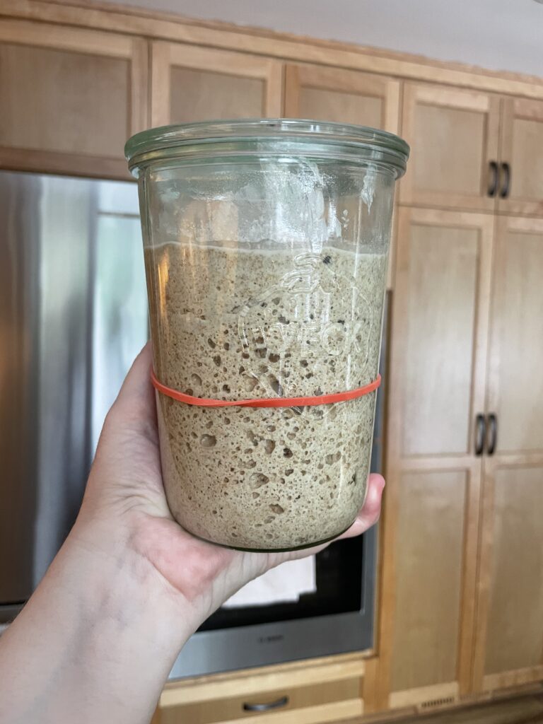 whole grain sourdough starter