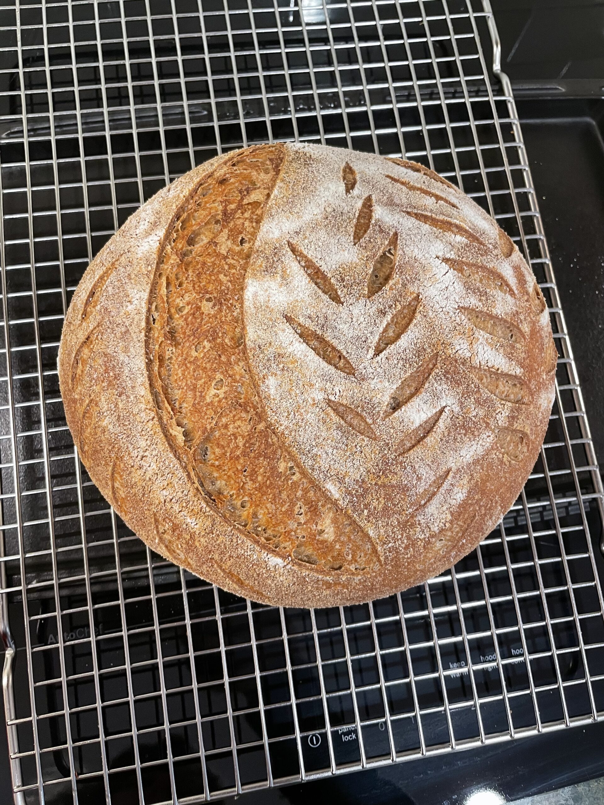 baked whole grain sourdough