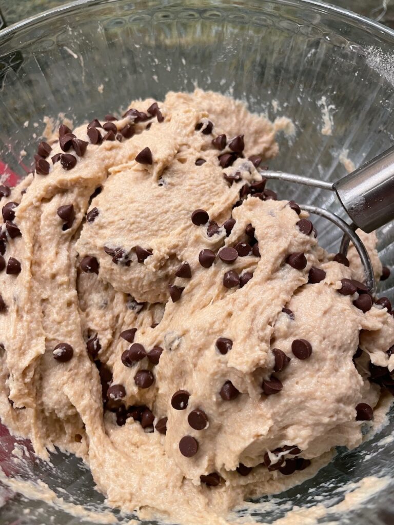 chocolate chip no-knead bread