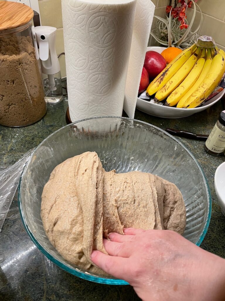 stretch and fold sourdough