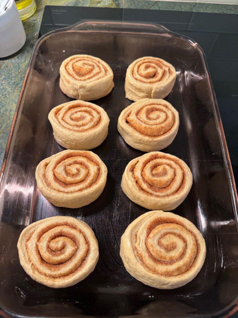 cinnamon rolls before rising