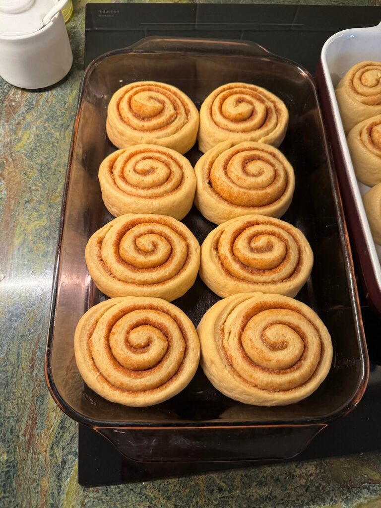 cinnamon rolls after rising